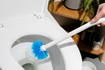 How To Clean A Toilet The Right Way