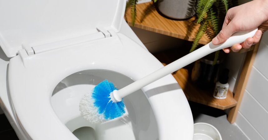 How To Clean A Toilet The Right Way