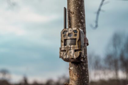 Moultrie Mobile Edge Pro Review: A Cellular Trail Cam For