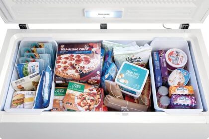 The Best Chest Freezers