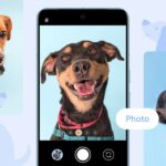 How Pixel Is Helping Pups Find Their Fur Ever Homes