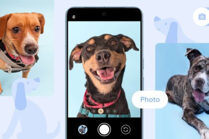 How Pixel Is Helping Pups Find Their Fur Ever Homes
