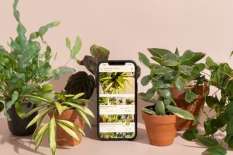 The Best Plant Identification App