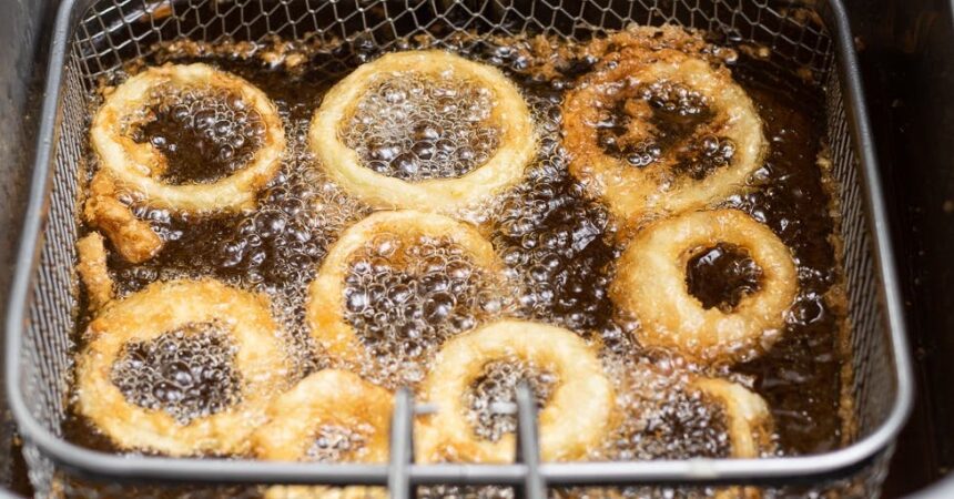 The Best Deep Fryer