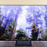 The Best Oled Tv