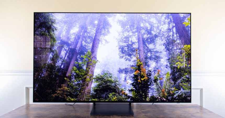 The Best Oled Tv