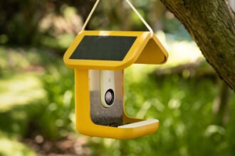 Turns Out The Bird Buddy Smart Bird Feeder Is Terrific.