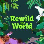 Learn About Wildlife Conservation With Rewild The World
