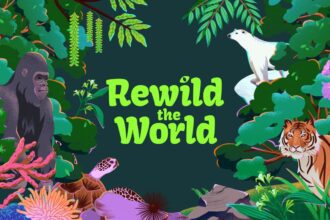 Learn About Wildlife Conservation With Rewild The World