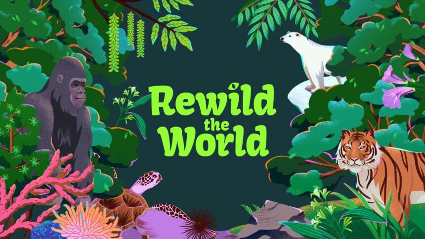 Learn About Wildlife Conservation With Rewild The World
