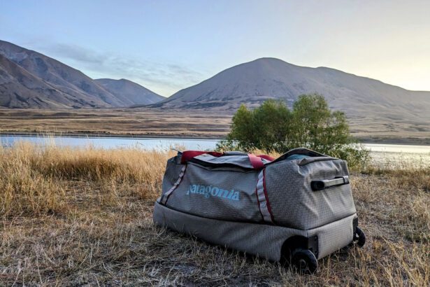 This Bag Survived Our Move To New Zealand: Patagonia Black