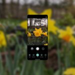 How To Get Started With Pixel 8 Pro Camera’s Pro