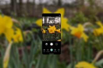 How To Get Started With Pixel 8 Pro Camera’s Pro