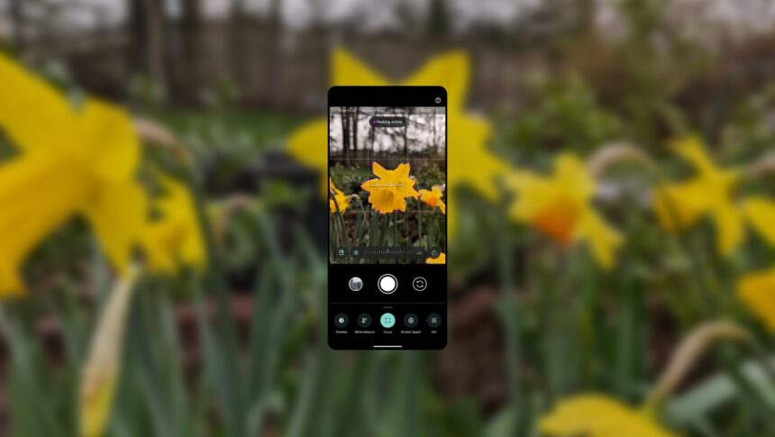 How To Get Started With Pixel 8 Pro Camera’s Pro