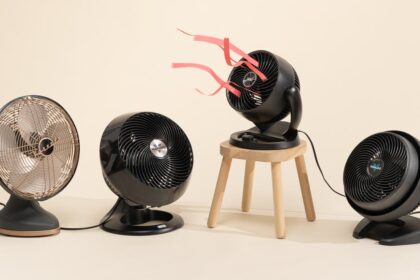 The Best Fan